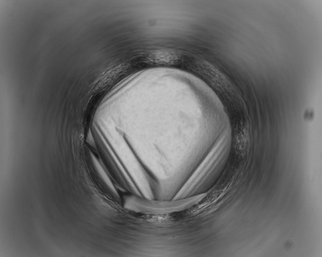 X0000098020552200804251140