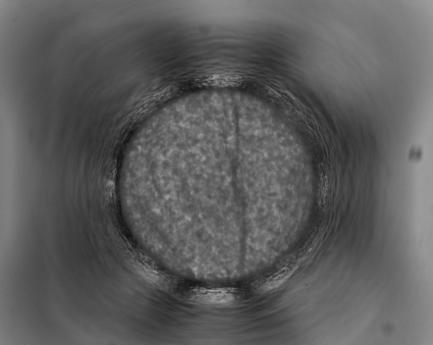 X0000098020553200804251140