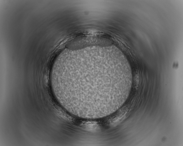 X0000098020554200804251140