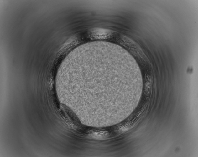 X0000098020555200804251140