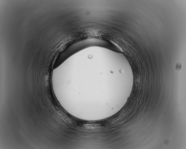 X0000098020556200804251140