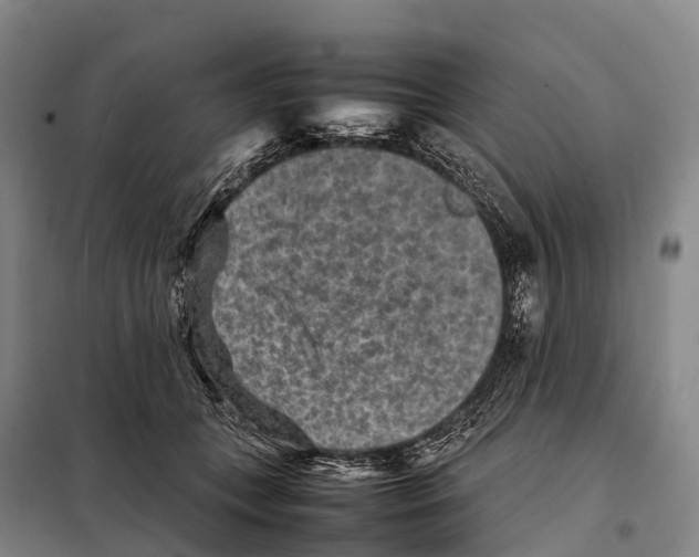 X0000098020559200804251140