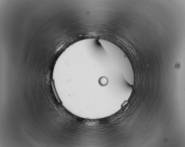 X0000098020560200804251140