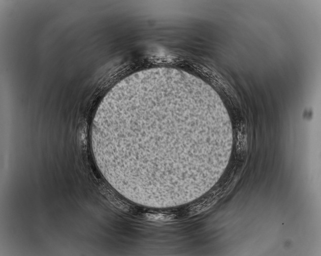 X0000098020561200804251140