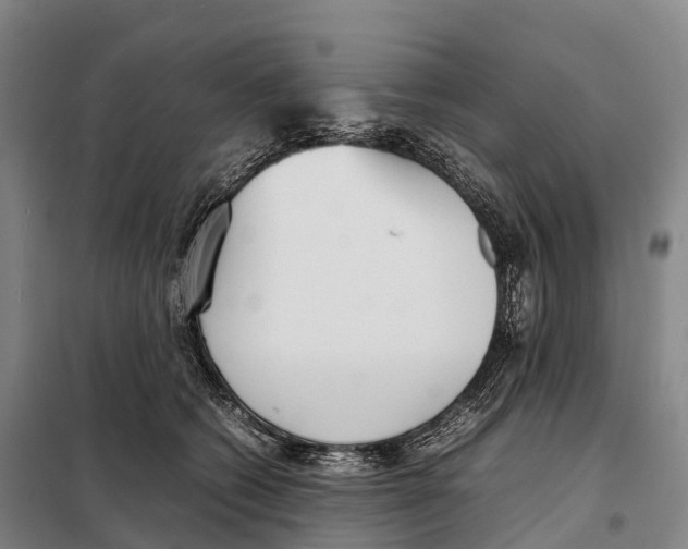 X0000098020562200804251140