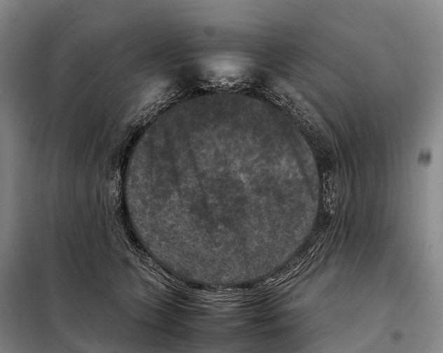 X0000098020563200804251140