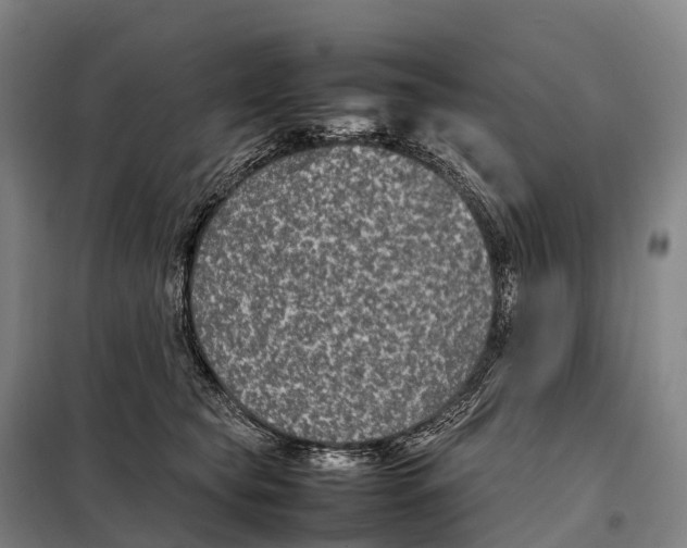 X0000098020565200804251140