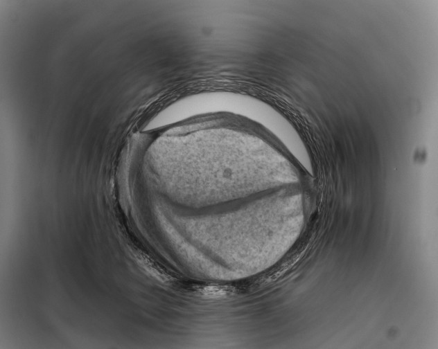 X0000098020566200804251140
