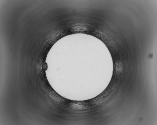 X0000098020567200804251140