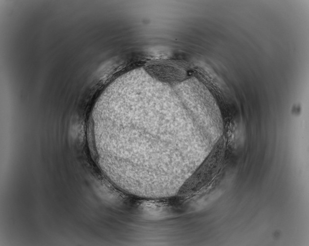 X0000098020568200804251140