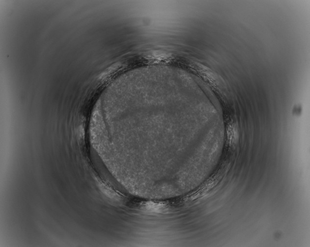 X0000098020570200804251140