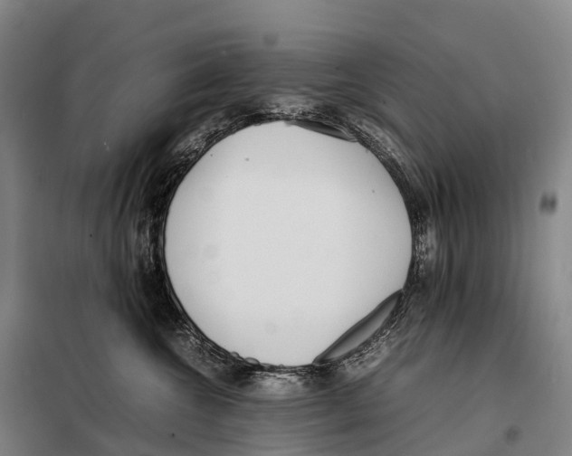 X0000098020572200804251140