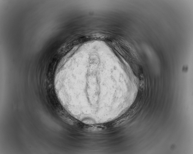 X0000098020573200804251140
