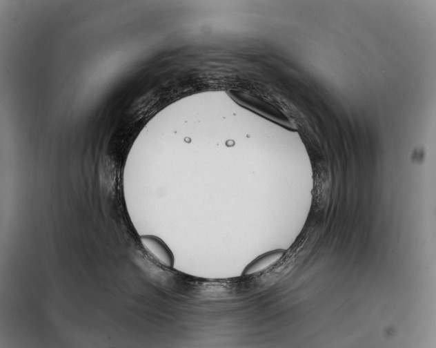 X0000098020574200804251140