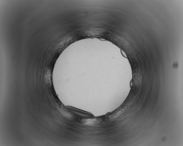 X0000098020575200804251140