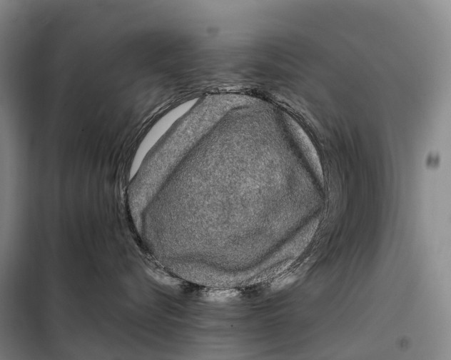 X0000098020576200804251140