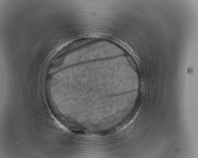 X0000098020577200804251140