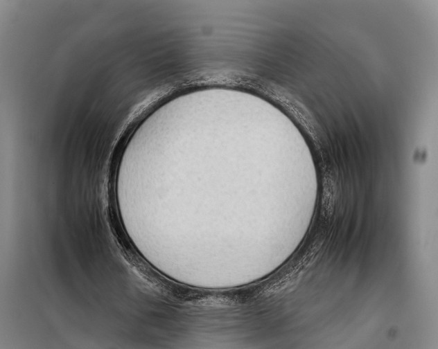 X0000098020578200804251140