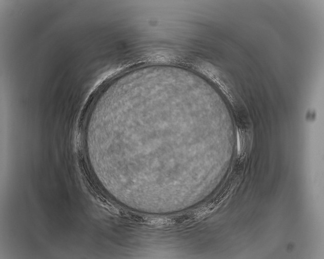 X0000098020579200804251140