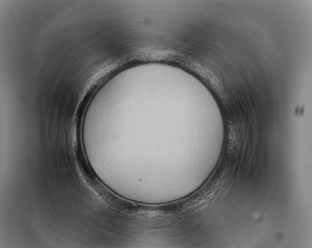 X0000098020582200804251139