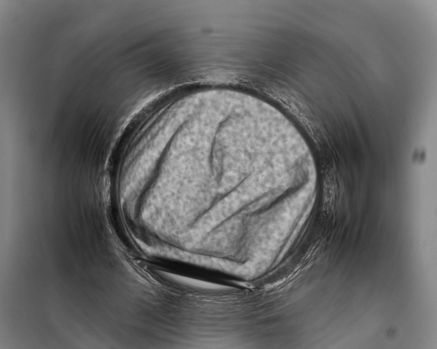 X0000098020584200804251139