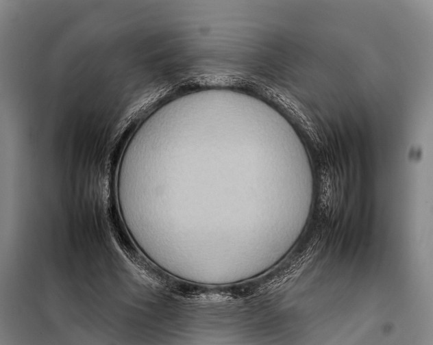 X0000098020586200804251139