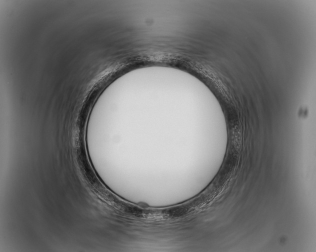 X0000098020587200804251139