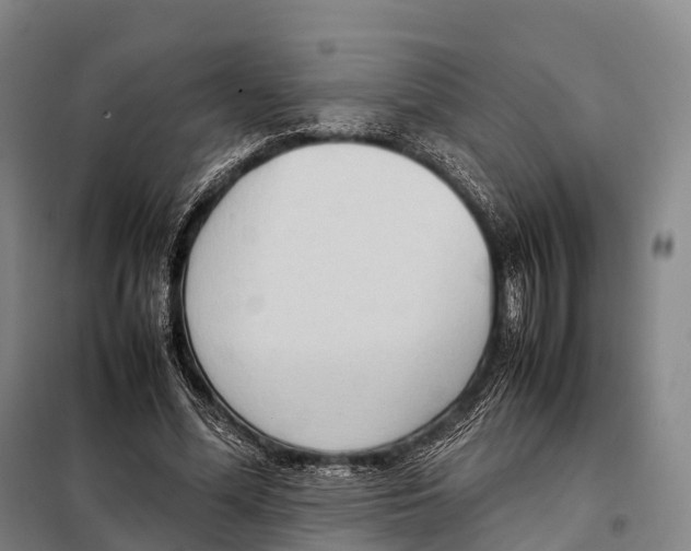 X0000098020588200804251139