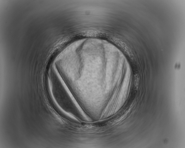 X0000098020589200804251139
