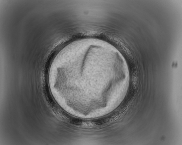 X0000098020591200804251139