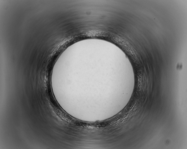 X0000098020592200804251139