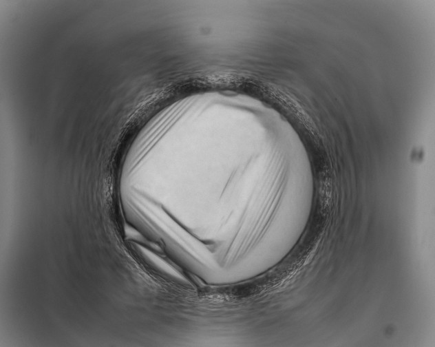 X0000098020593200804251139