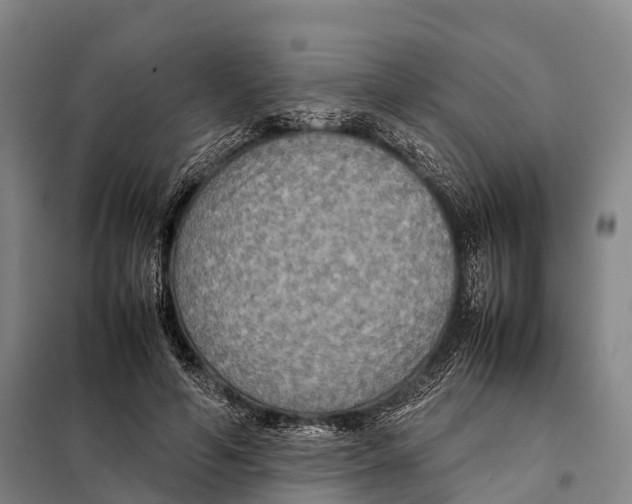 X0000098020594200804251139