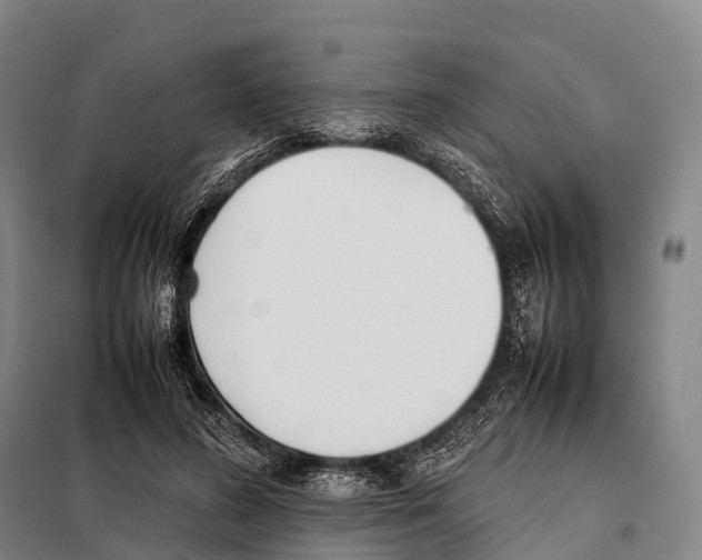 X0000098020596200804251139