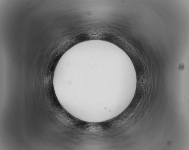 X0000098020601200804251139