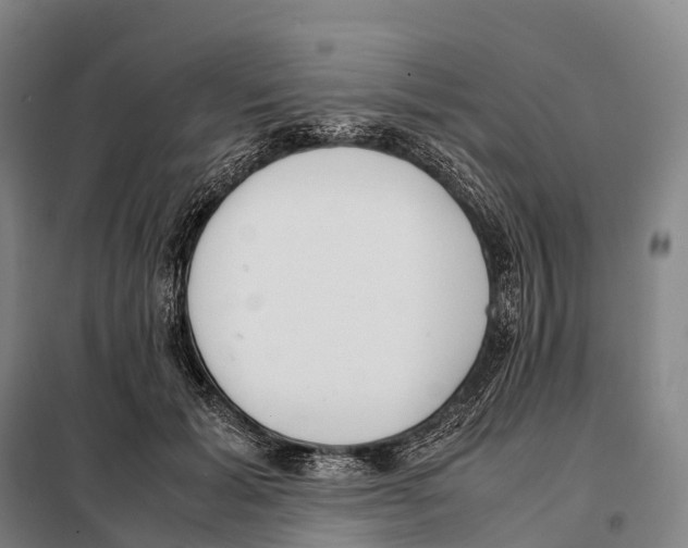X0000098020605200804251139