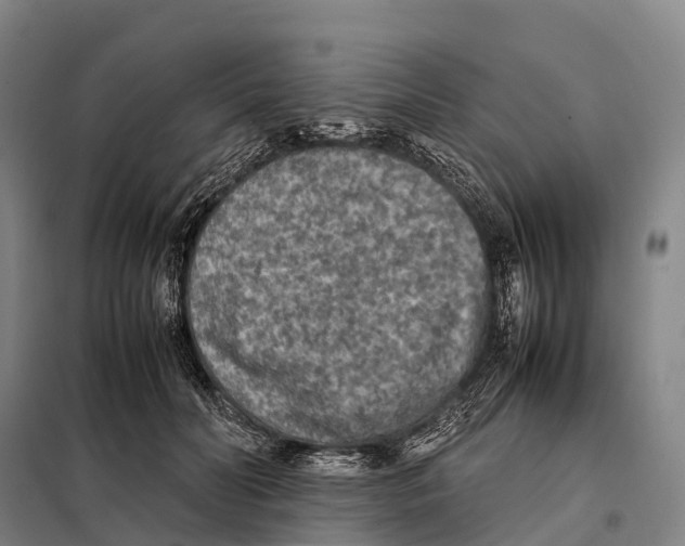 X0000098020606200804251139