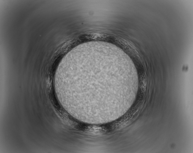 X0000098020607200804251139