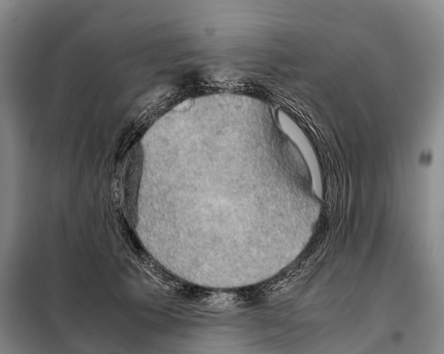 X0000098020609200804251139