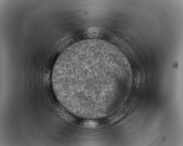 X0000098020610200804251139