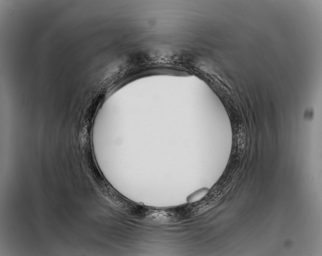X0000098020611200804251139