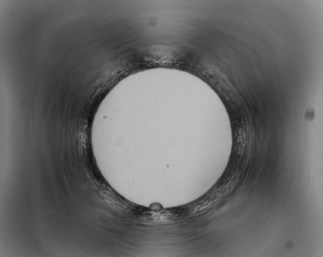 X0000098020612200804251139