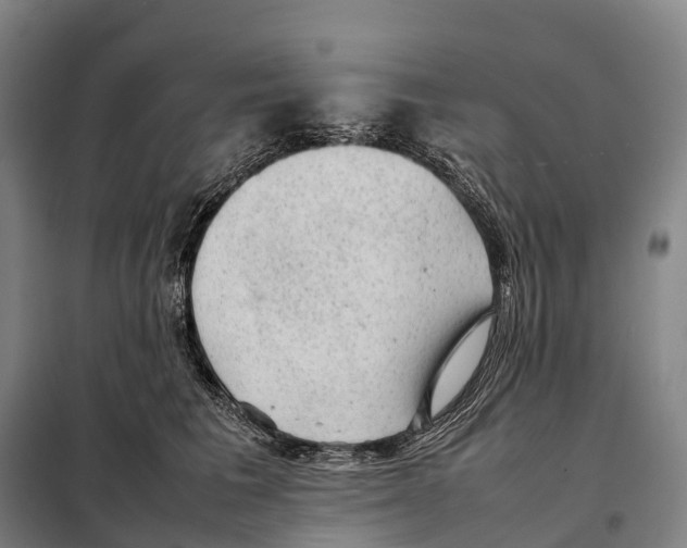 X0000098020613200804251139