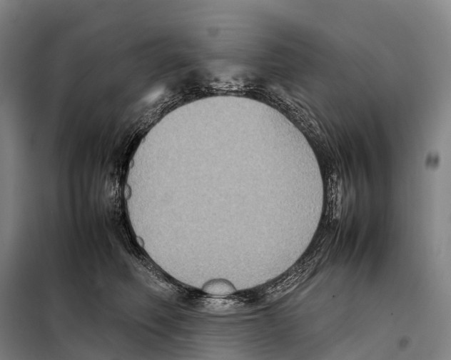 X0000098020614200804251139
