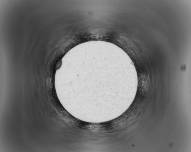 X0000098020615200804251139
