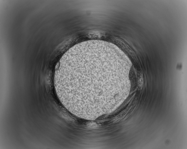 X0000098020616200804251139