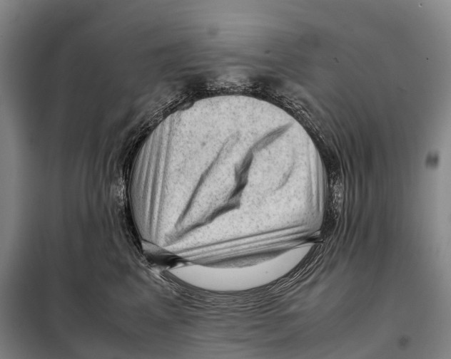 X0000098020617200804251139