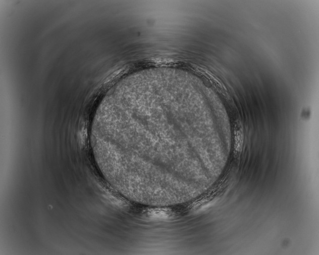 X0000098020618200804251139