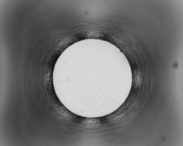 X0000098020619200804251139