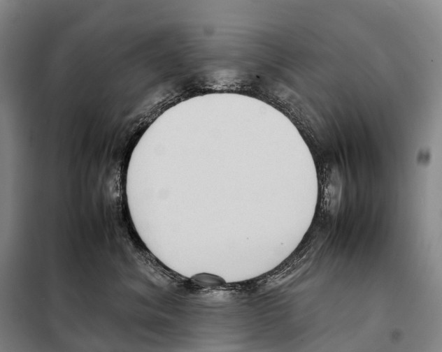 X0000098020620200804251139
